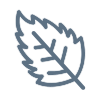 Nettle icon